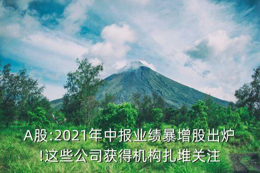 A股:2021年中報業(yè)績暴增股出爐!這些公司獲得機構(gòu)扎堆關注