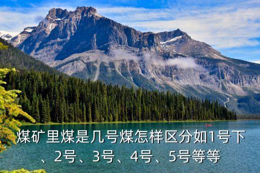  煤礦里煤是幾號(hào)煤怎樣區(qū)分如1號(hào)下、2號(hào)、3號(hào)、4號(hào)、5號(hào)等等