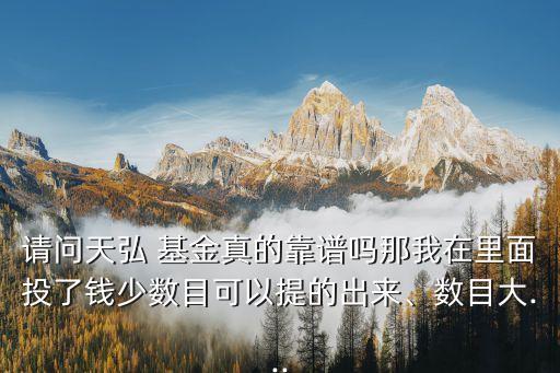 請(qǐng)問天弘 基金真的靠譜嗎那我在里面投了錢少數(shù)目可以提的出來、數(shù)目大...
