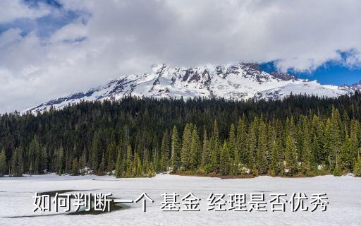 如何判斷一個 基金 經理是否優(yōu)秀