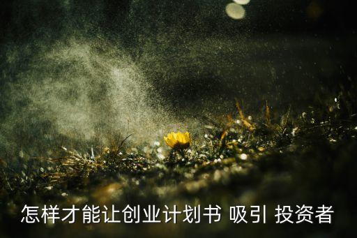 怎樣才能讓創(chuàng)業(yè)計(jì)劃書(shū) 吸引 投資者