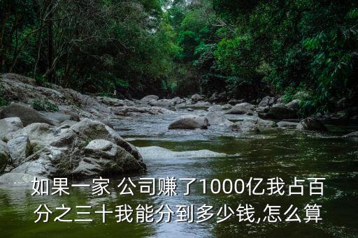 如果一家 公司賺了1000億我占百分之三十我能分到多少錢(qián),怎么算