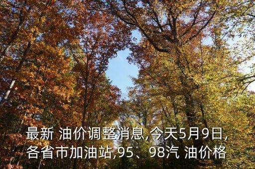 最新 油價(jià)調(diào)整消息,今天5月9日,各省市加油站,95、98汽 油價(jià)格
