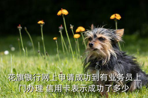  花旗銀行網(wǎng)上申請成功到有業(yè)務員上門辦理 信用卡表示成功了多少