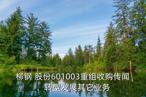 柳鋼 股份601003重組收購傳聞、轉(zhuǎn)型發(fā)展其它業(yè)務(wù)