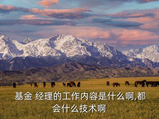  基金 經理的工作內容是什么啊,都會什么技術啊
