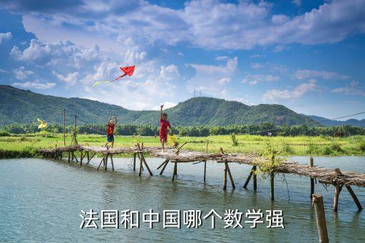 法國和中國哪個(gè)數(shù)學(xué)強(qiáng)