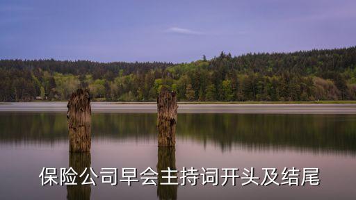 保險(xiǎn)公司30字獲獎感言