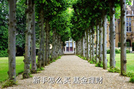  新手怎么買(mǎi) 基金理財(cái)