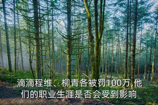  滴滴程維、柳青各被罰100萬,他們的職業(yè)生涯是否會受到影響