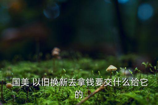  國(guó)美 以舊換新去拿錢(qián)要交什么給它的