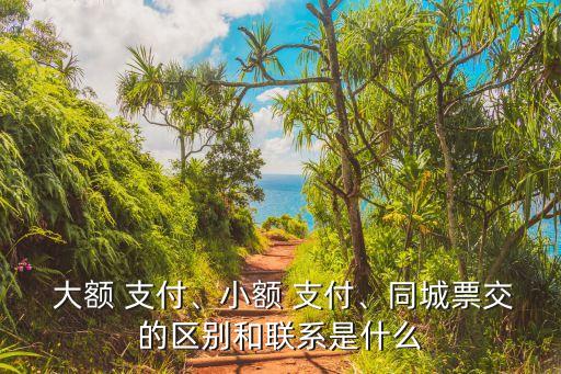  大額 支付、小額 支付、同城票交的區(qū)別和聯(lián)系是什么