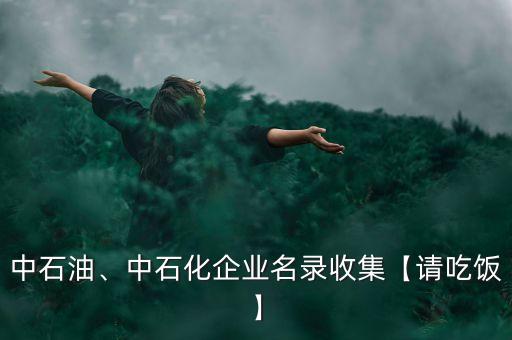 中石油、中石化企業(yè)名錄收集【請吃飯】
