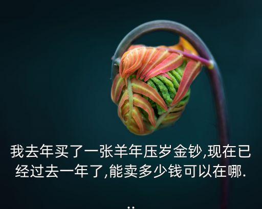 我去年買了一張羊年壓歲金鈔,現(xiàn)在已經(jīng)過(guò)去一年了,能賣多少錢可以在哪...
