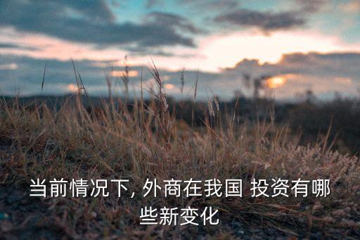 當前情況下, 外商在我國 投資有哪些新變化