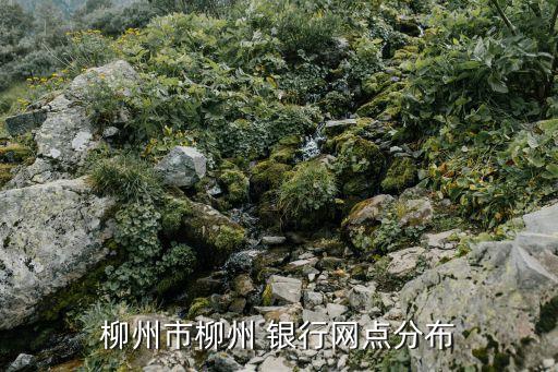 柳州市柳州 銀行網點分布