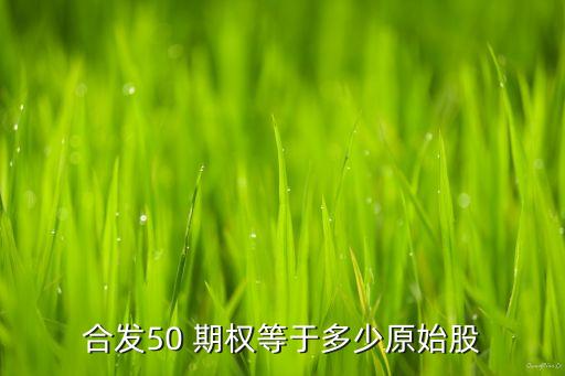 一個期權(quán)對應多少股票,一份期權(quán)對應多少股