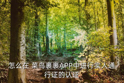 怎么在 菜鳥裹裹APP中進(jìn)行實人通行證的認(rèn)證