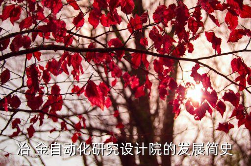 冶 金自動(dòng)化研究設(shè)計(jì)院的發(fā)展簡史
