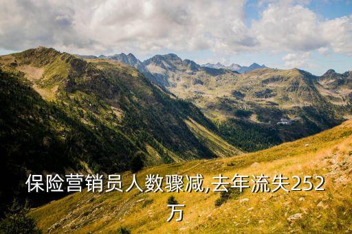 保險(xiǎn)營銷員人數(shù)驟減,去年流失252萬