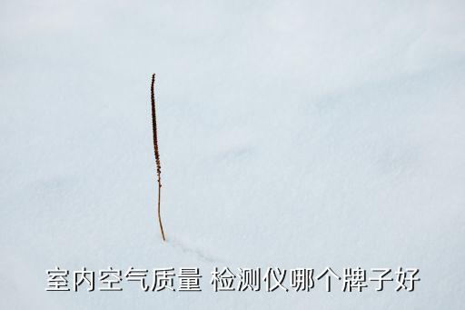 室內(nèi)空氣質(zhì)量 檢測儀哪個(gè)牌子好