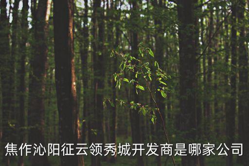 焦作沁陽(yáng)征云領(lǐng)秀城開(kāi)發(fā)商是哪家公司