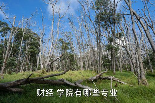 財經(jīng) 學院有哪些專業(yè)