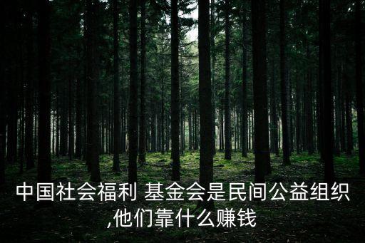 基金會如何盈利,老?；饡渴裁从?/></a></span><span id=