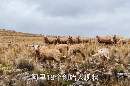 阿里18個創(chuàng)始人現狀