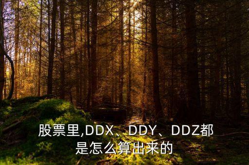  股票里,DDX、DDY、DDZ都是怎么算出來的