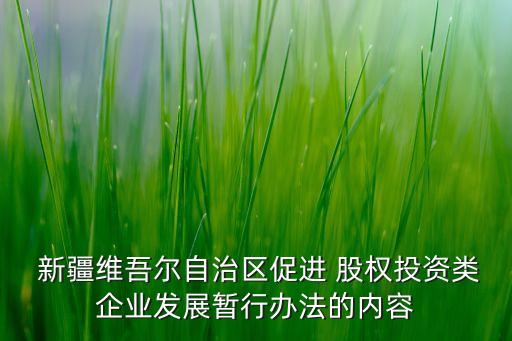 新疆成農遠大股權投資有限公司