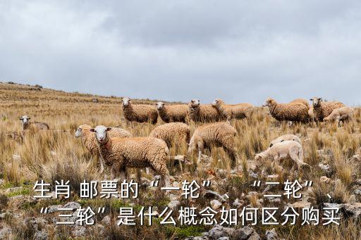  生肖 郵票的“一輪”、“二輪”、“ 三輪”是什么概念如何區(qū)分購(gòu)買(mǎi)