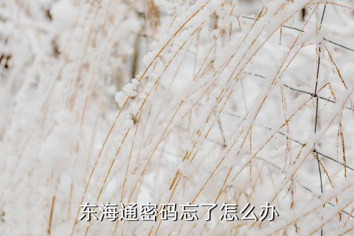 東?；鸸?/></a></span><span id=