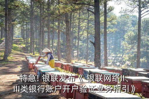 特急! 銀聯(lián)發(fā)布《 銀聯(lián)網(wǎng)絡(luò)II、III類銀行賬戶開戶驗(yàn)證業(yè)務(wù)指引》