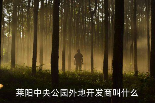 中交集團聯合置業(yè)公司,中交住總聯合置業(yè) 杜志毅