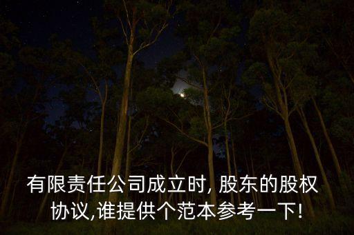 有限責任公司成立時, 股東的股權 協(xié)議,誰提供個范本參考一下!