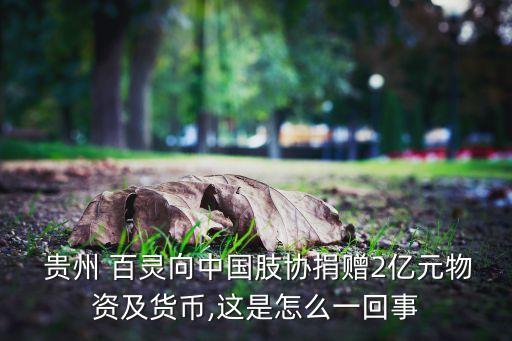  貴州 百靈向中國肢協捐贈2億元物資及貨幣,這是怎么一回事