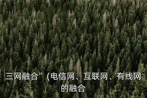 三網(wǎng)融合”(電信網(wǎng)、互聯(lián)網(wǎng)、有線網(wǎng)的融合