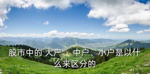 股市中的 大戶、 中戶、小戶是以什么來區(qū)分的