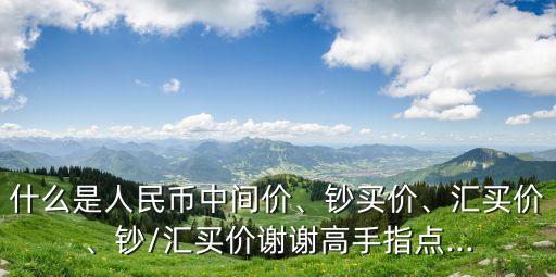銀行掛牌的買(mǎi)入?yún)R率是指,越南盾銀行掛牌匯率