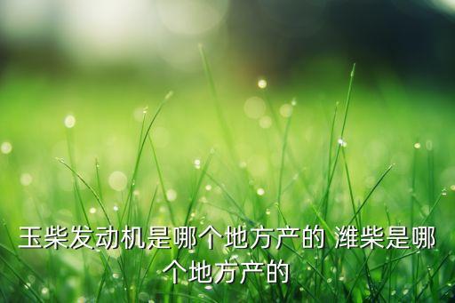 玉柴發(fā)動機是哪個地方產的 濰柴是哪個地方產的