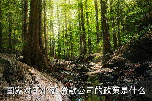 銀行開展小企業(yè)貸款業(yè)務(wù)指導(dǎo)意見(jiàn)