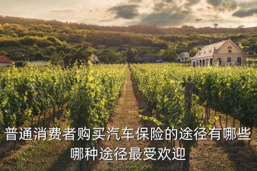 普通消費(fèi)者購(gòu)買汽車保險(xiǎn)的途徑有哪些哪種途徑最受歡迎