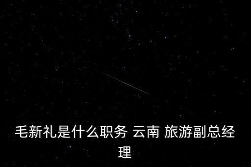 毛新禮是什么職務 云南 旅游副總經(jīng)理