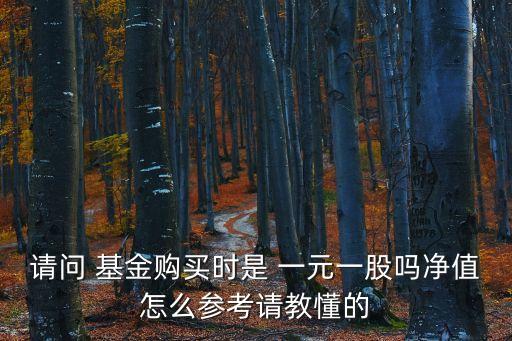 基金是不是一元一份,現(xiàn)在買(mǎi)基金是不是好時(shí)候