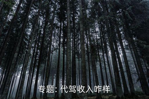 專(zhuān)題: 代駕收入咋樣
