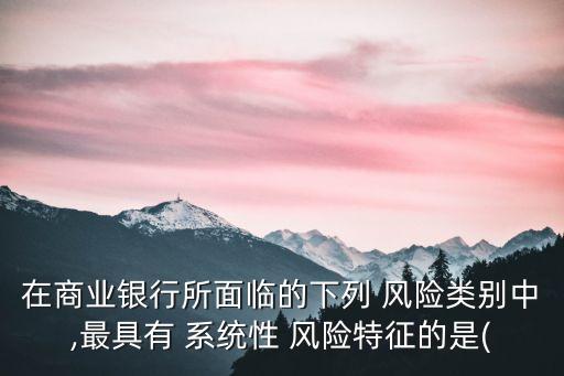 銀行業(yè)系統(tǒng)風(fēng)險