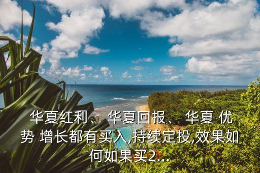  華夏紅利、 華夏回報、 華夏 優(yōu)勢 增長都有買入,持續(xù)定投,效果如何如果買2...