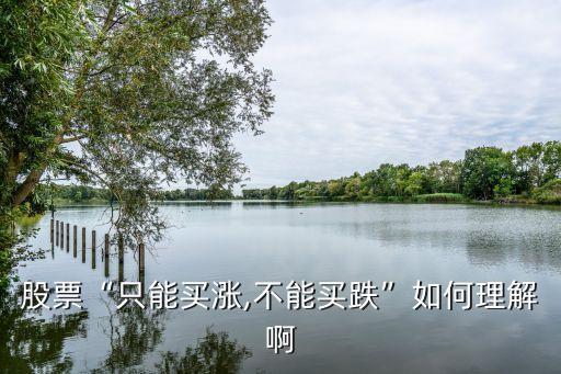 中國(guó)股市為什么不能買(mǎi)跌,股市300開(kāi)頭為什么買(mǎi)不了