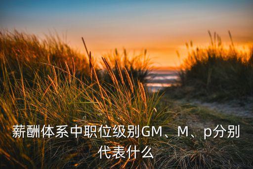 薪酬體系中職位級(jí)別GM、M、p分別代表什么
